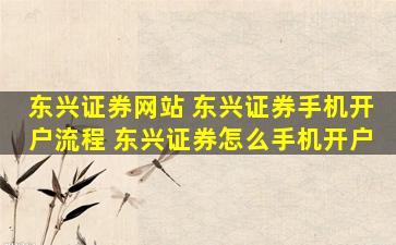 东兴证券网站 东兴证券手机开户流程 东兴证券怎么手机开户